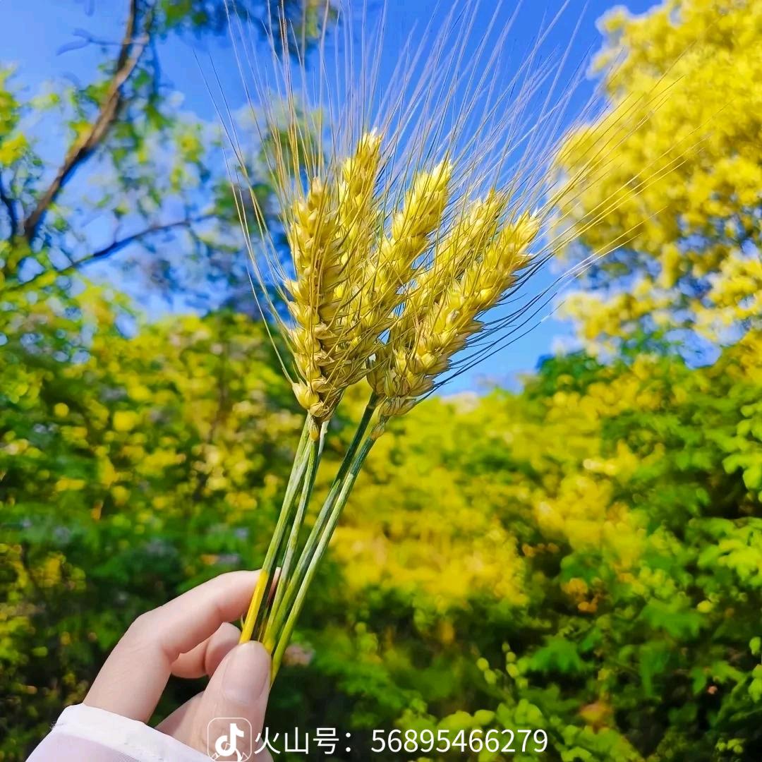 心有灵犀