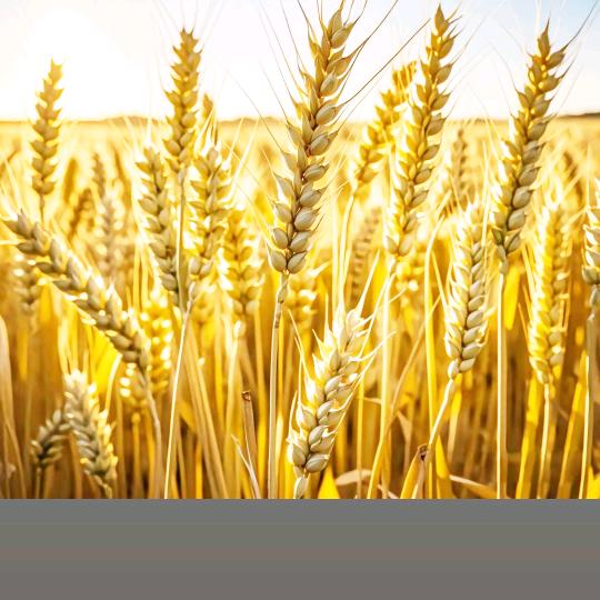 好好爱自己日进万金（不回关）