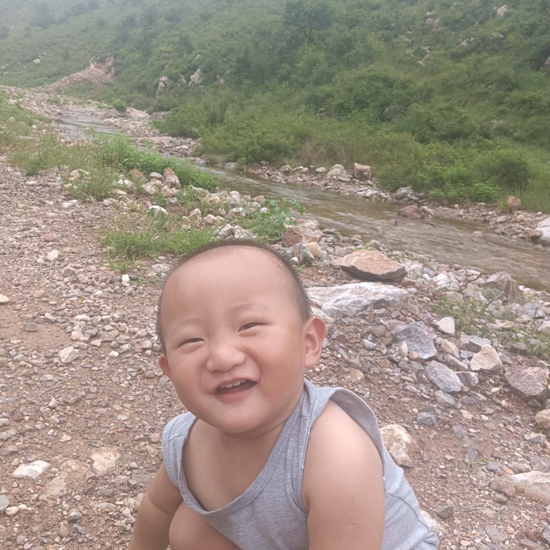 香河秦皇岛卢龙烟薯25号