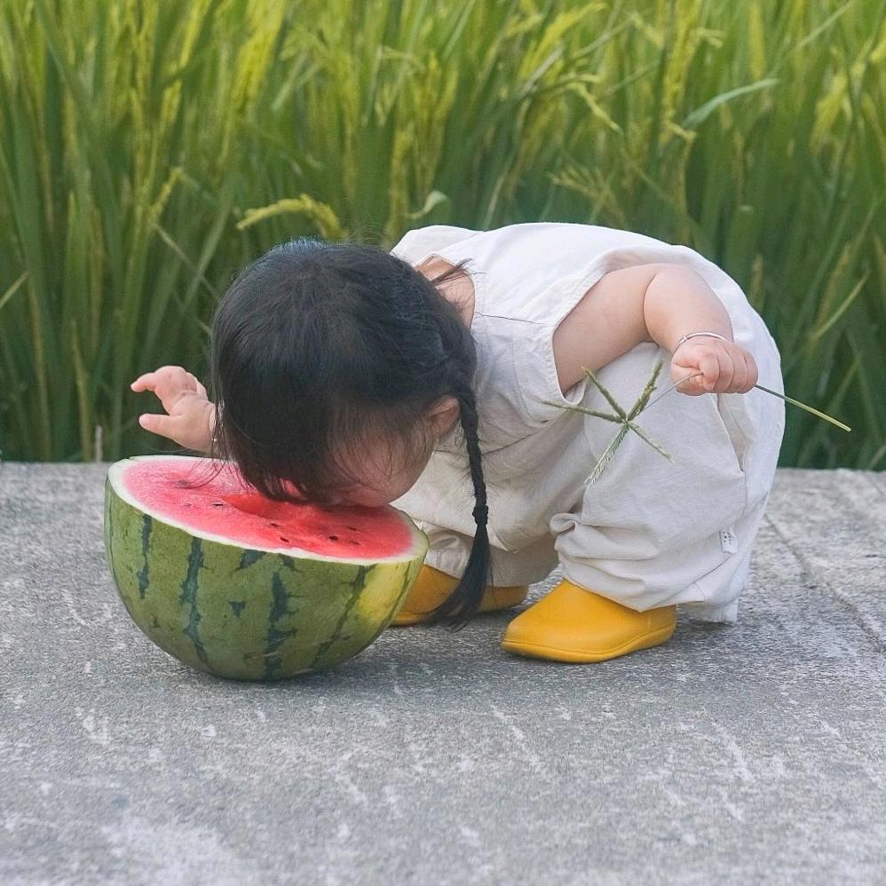 开心肖肖乐