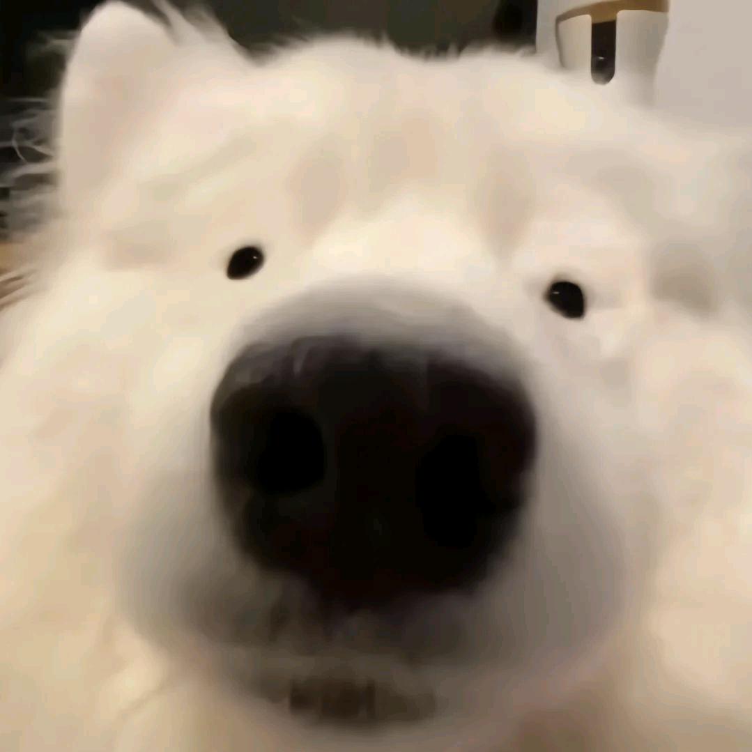 把舍友租去成都赚钱给我们花