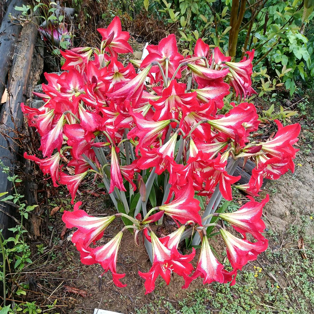 换一个城换一个城市把你忘掉