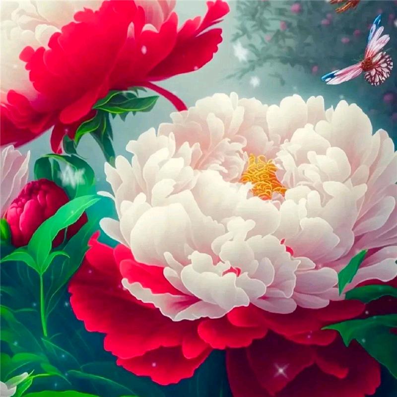 🍎花开富贵🍎