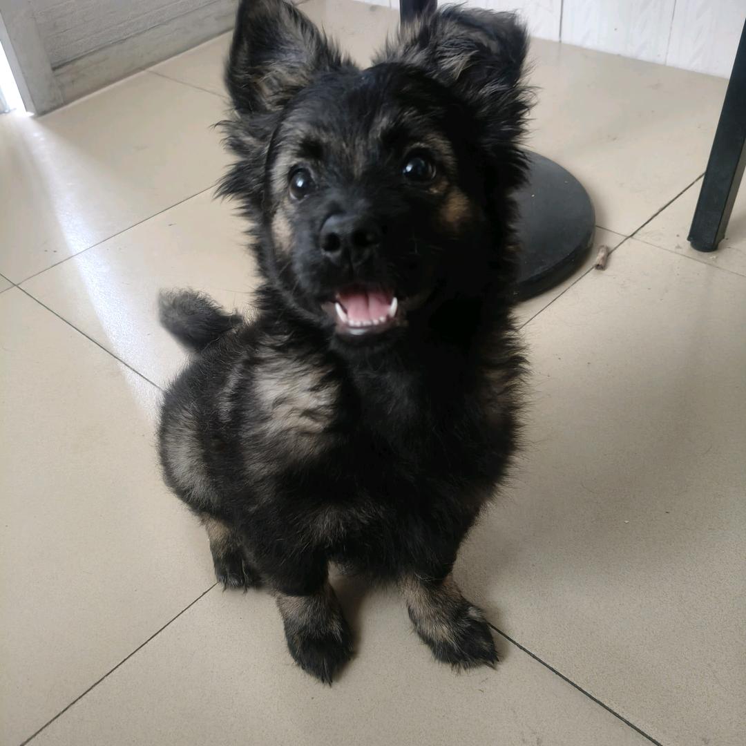 侗族小伙子
