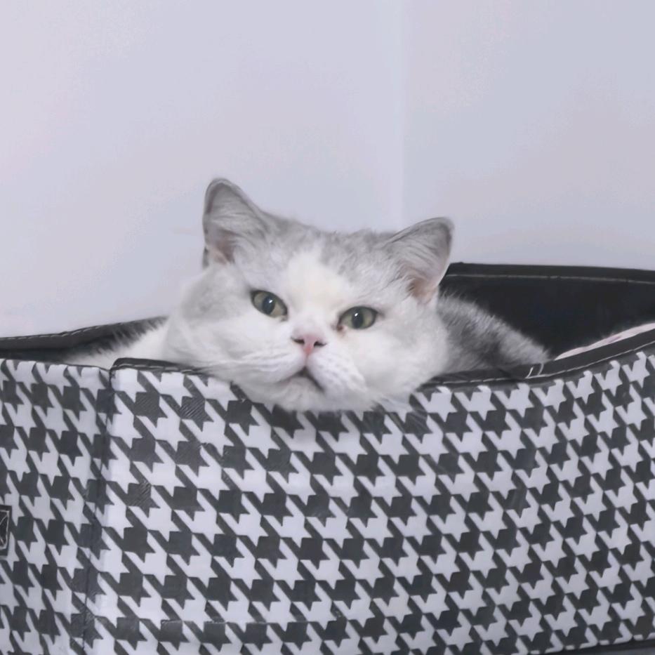 想做个恶毒女配