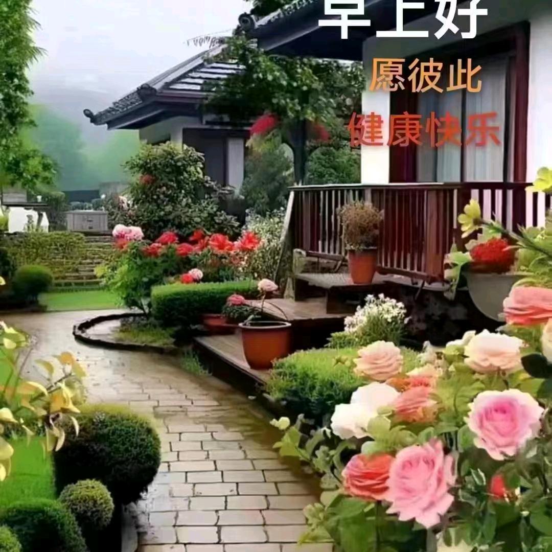 美好人生