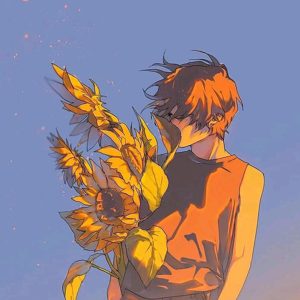 阳光不懂向日葵