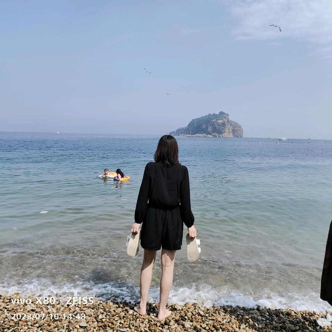 小寒•雁北向