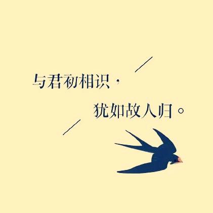 与君初相识