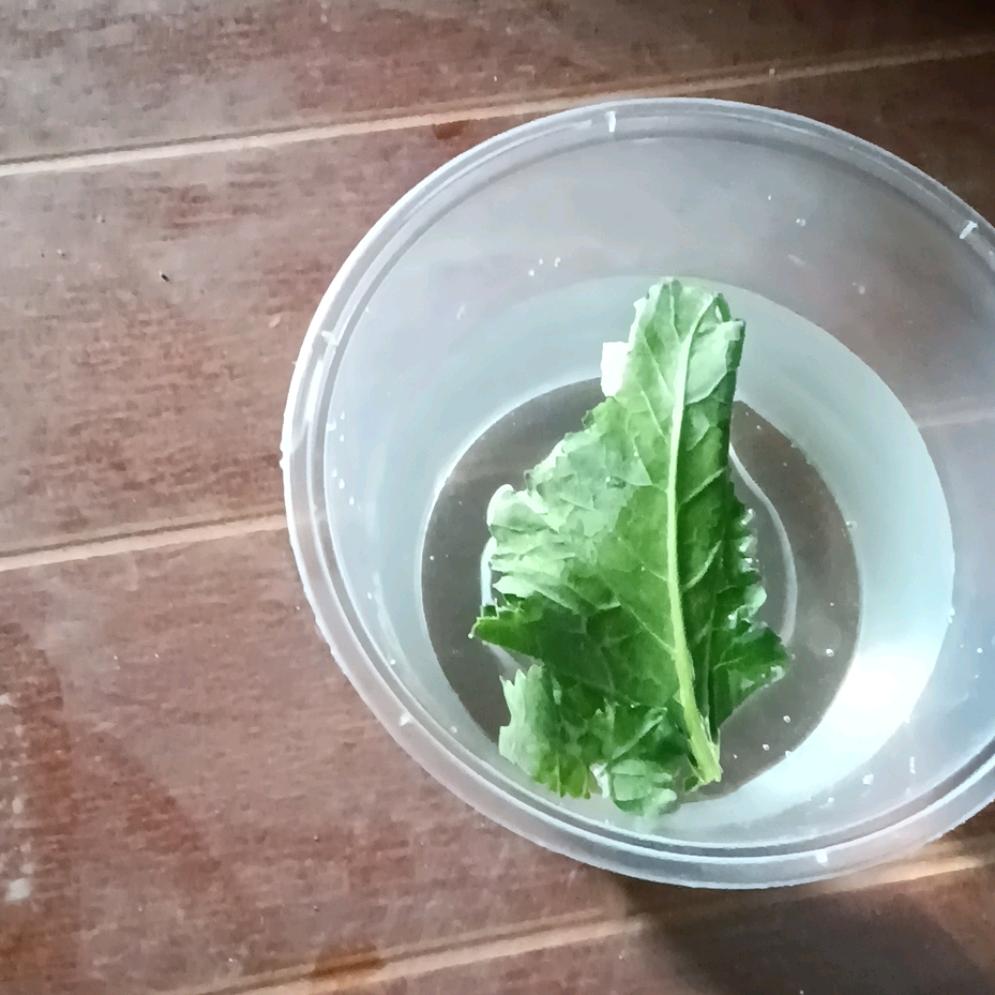 幸福简单a过水坪中心小学