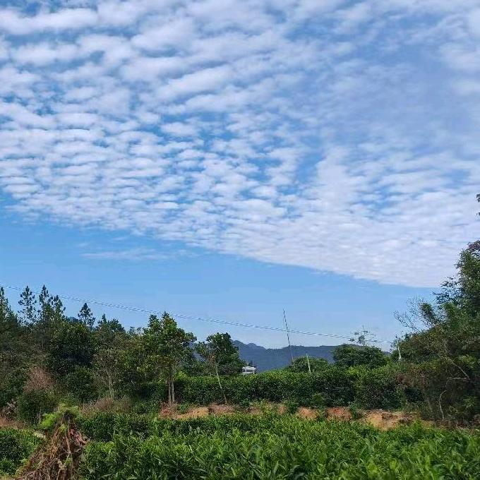 胡某某头像