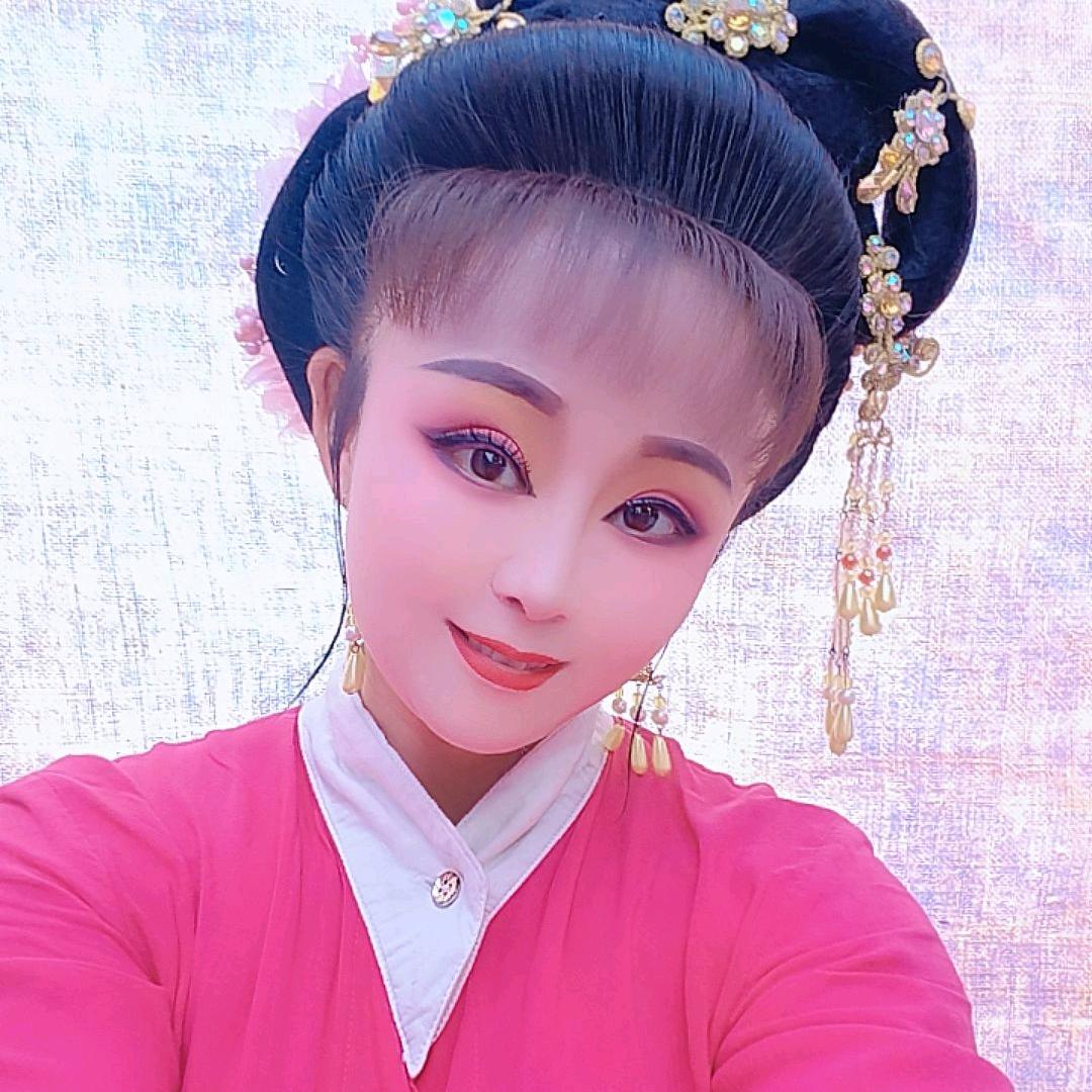 庐剧大园宝