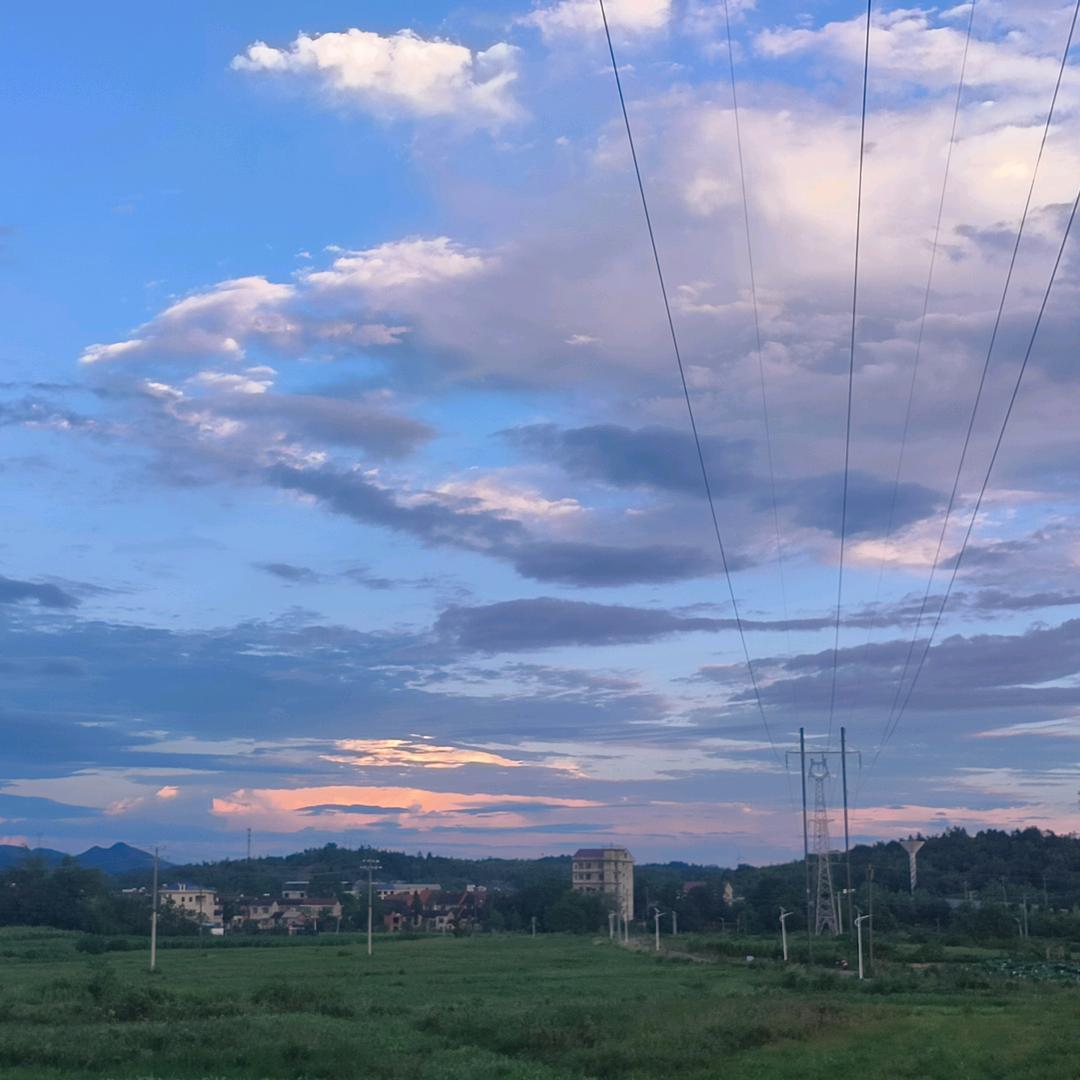 东山再起_241581653