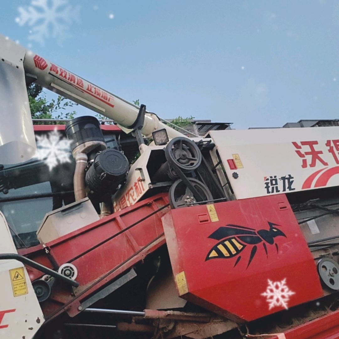 苏C小瑶收割机跨区