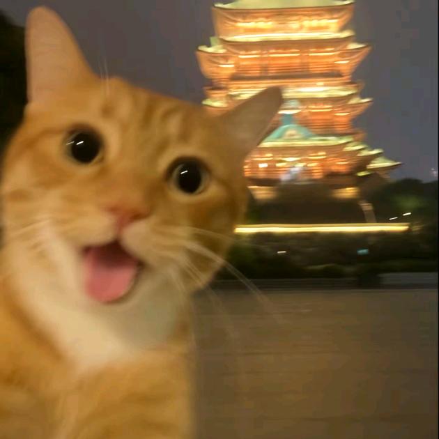 软柿子（三角洲行动）