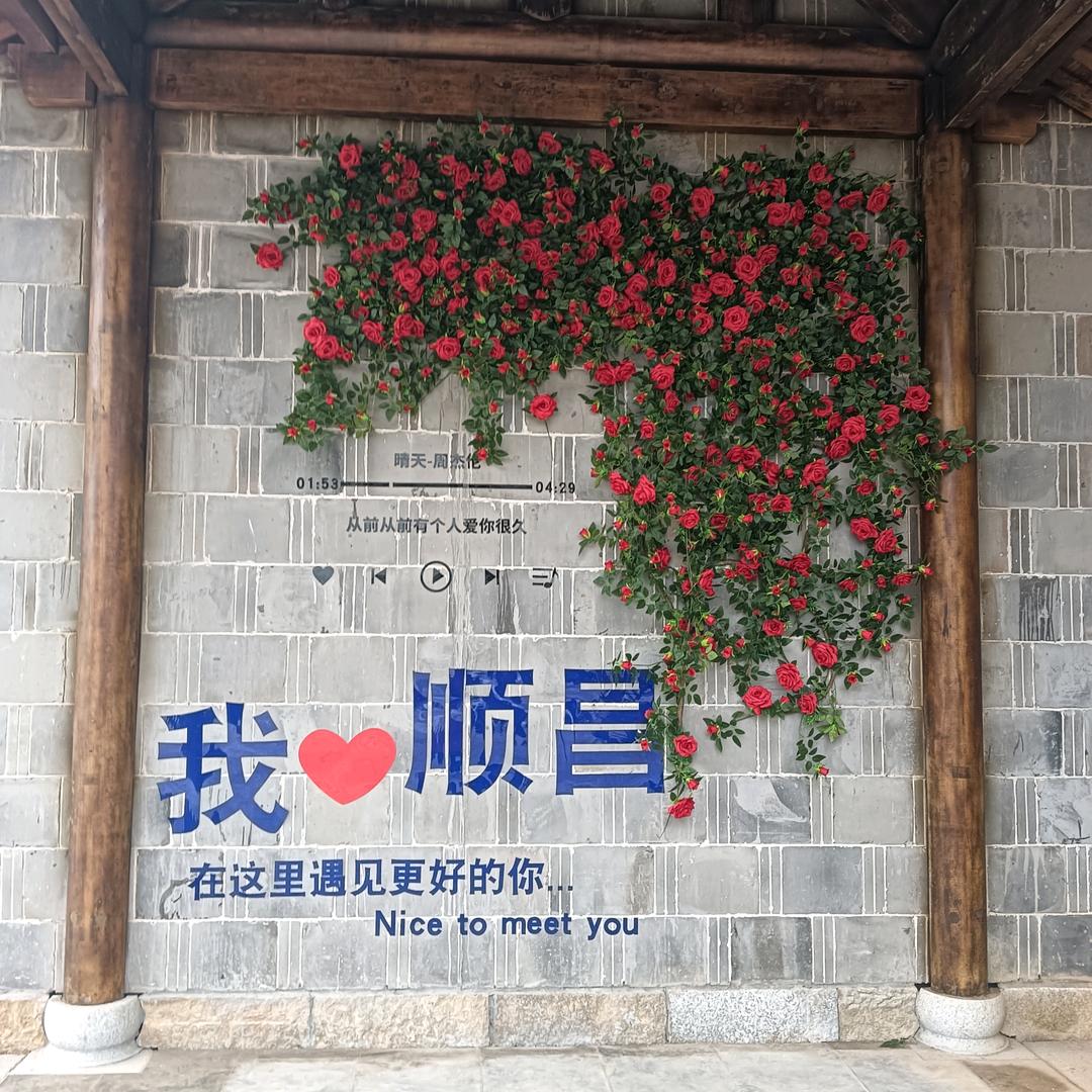 🧚蜻蜓点水🧚