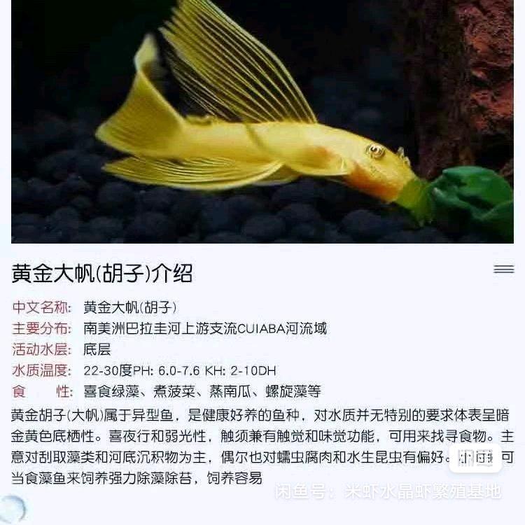 渔缘水族