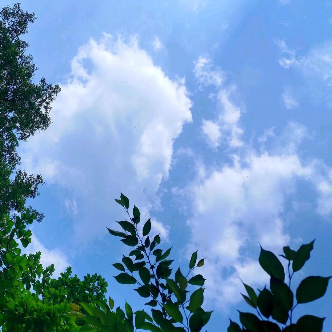 一片锦绣河山