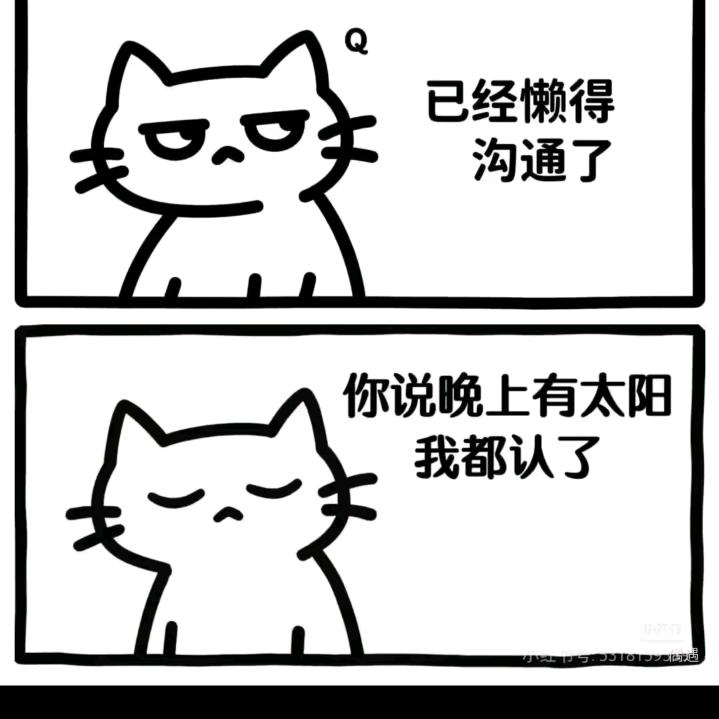 土豆