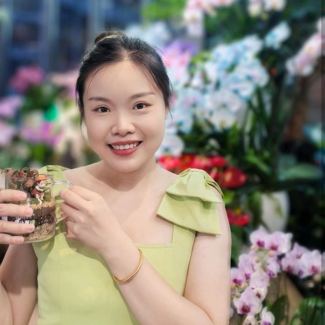 蝴蝶的甜甜圈