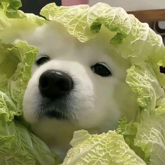 炒鸡大虾滑