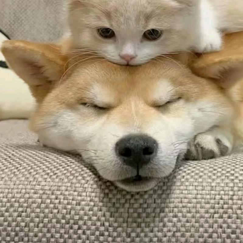 淋湿了