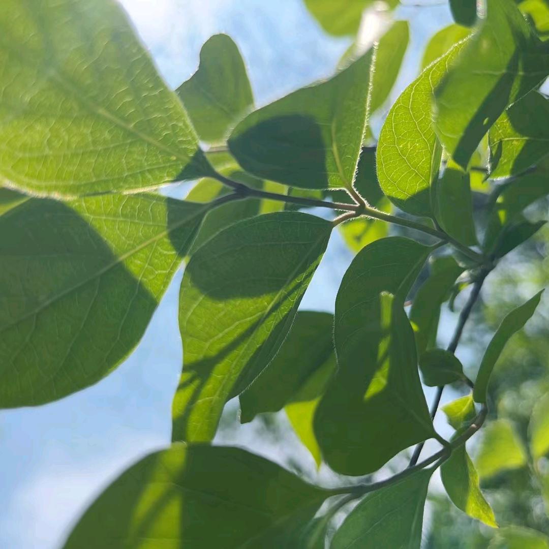 正在创业的路上