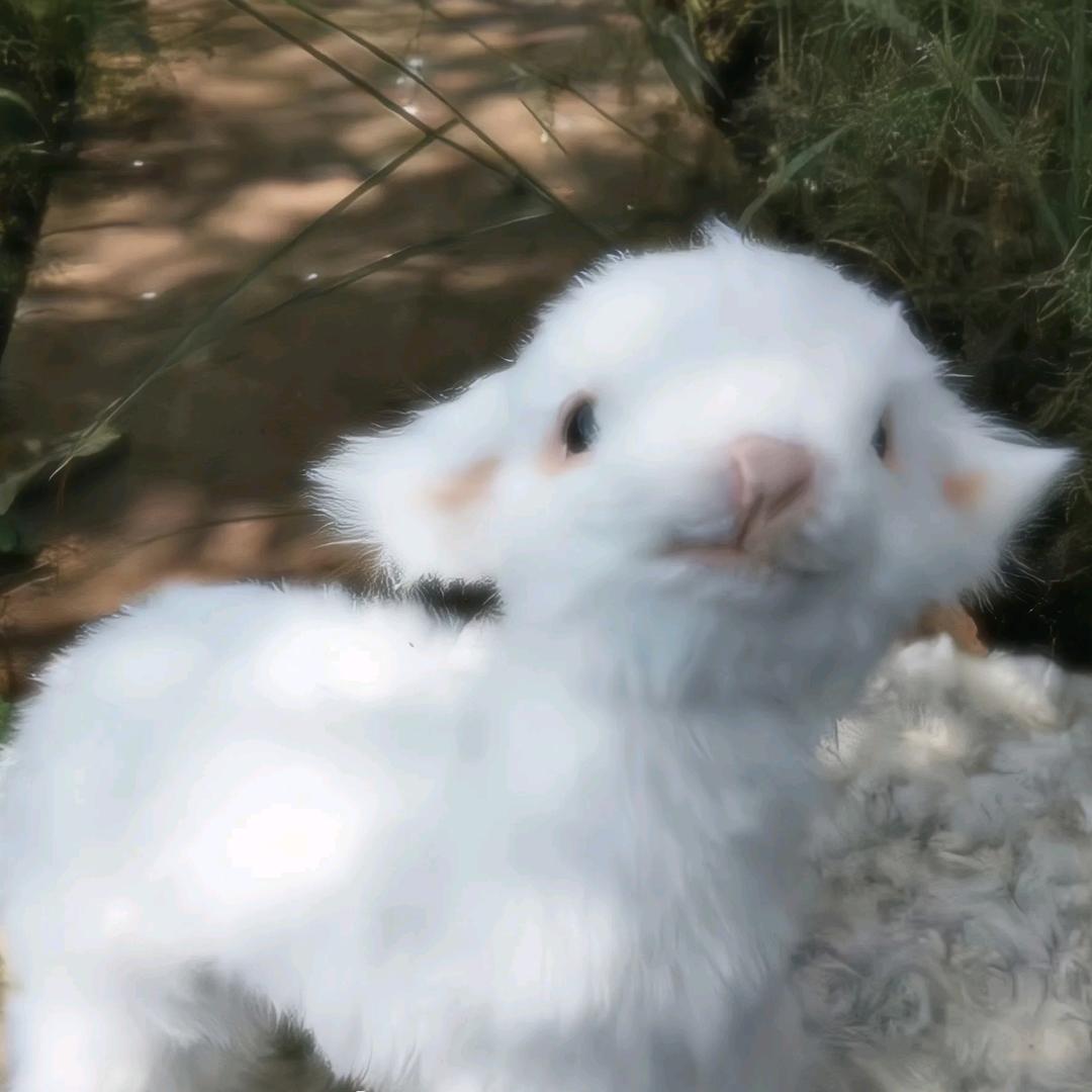 阿漆同学
