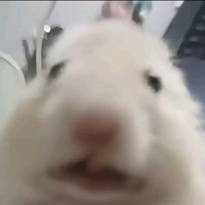 拿铁不放铁