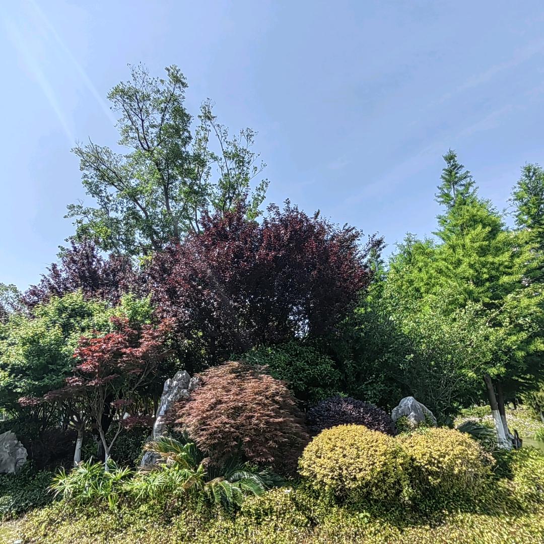 南山泉水