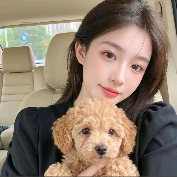 国货之光6的头像