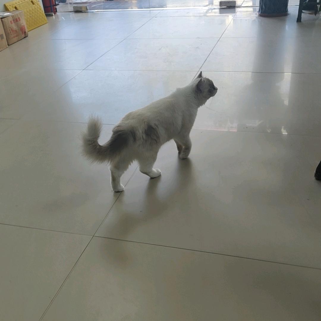 幸福的微《拒绝连赞》