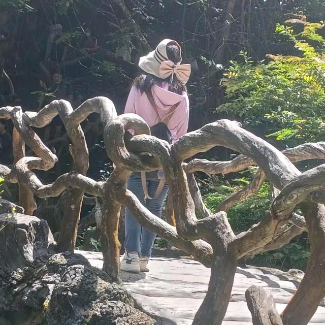 ximi圆
