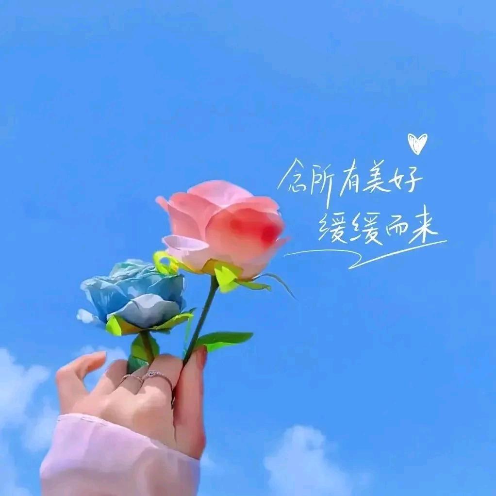 感恩♥有你