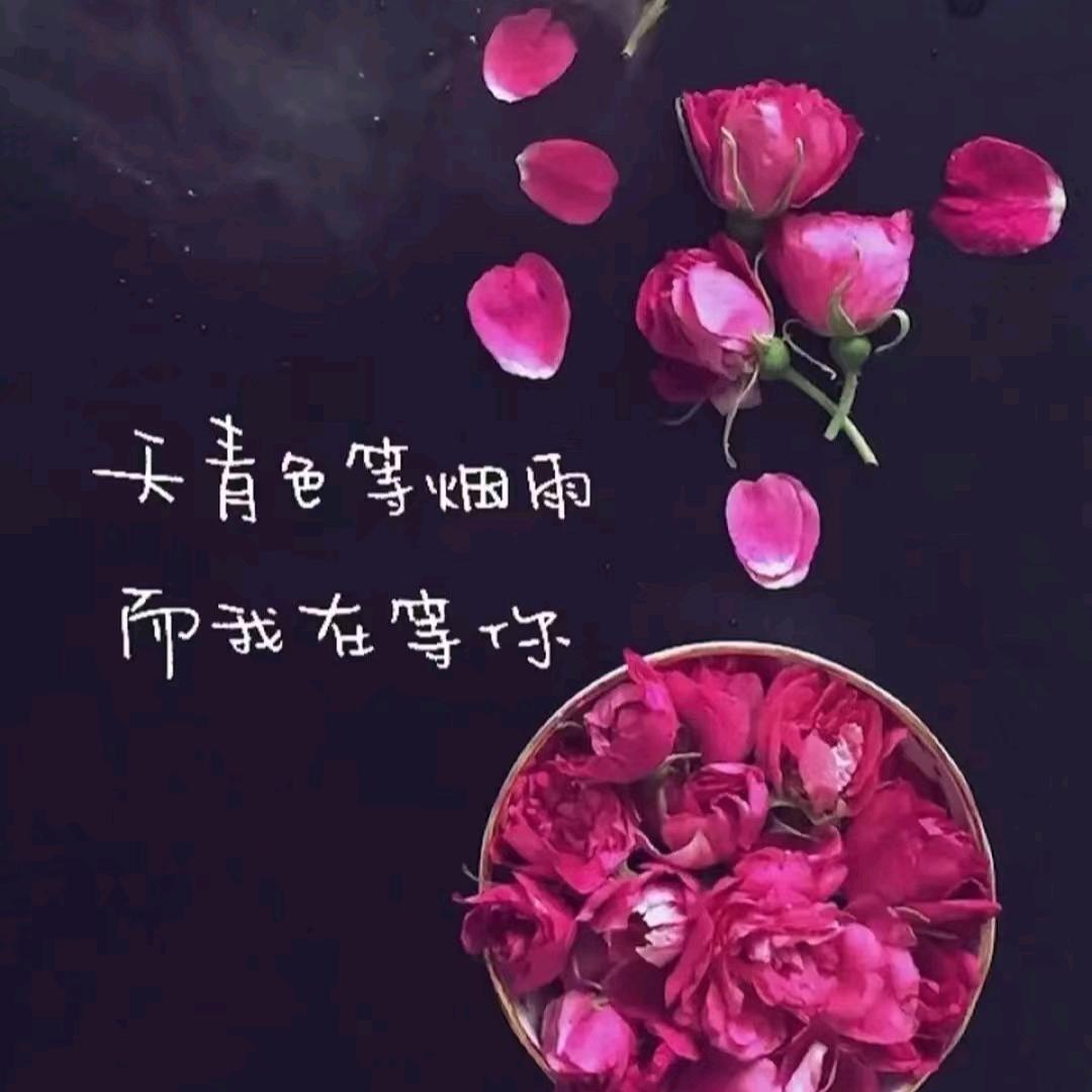 筑梦太极辅导站