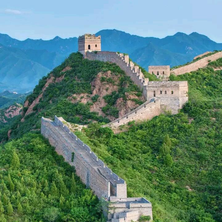 老杨捕鱼
