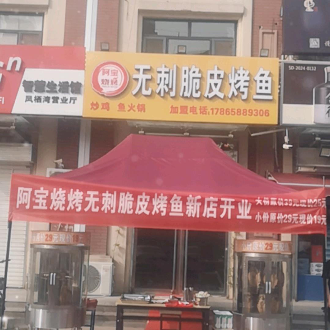阿宝烧烤无刺脆皮烤鱼（凤栖湾店）