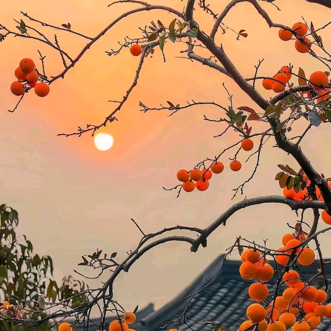 人间烟火气～