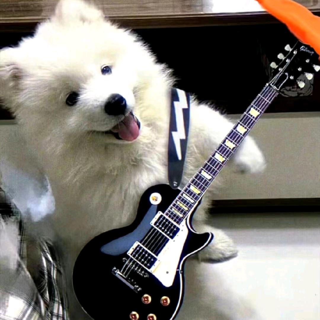 快乐星好评（和泽禹距离一米对视版