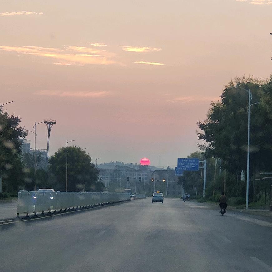太阳花🌸