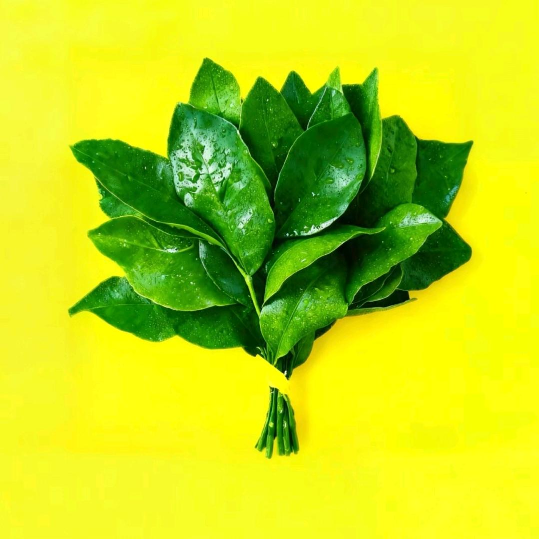 ℳ̶̶̶̶♡̶҉冷訫ℳ