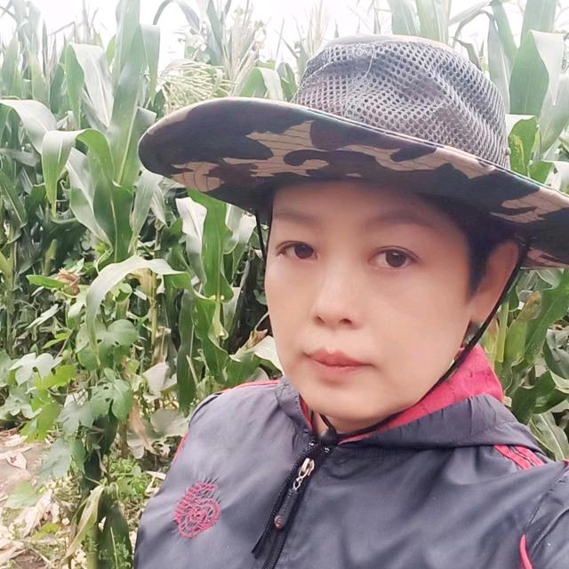 莹姐助农