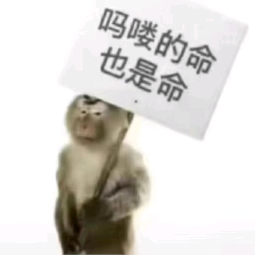 黑之阐释