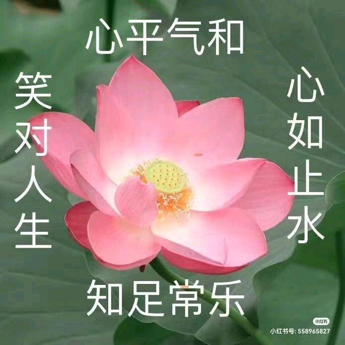 我是冉姐
