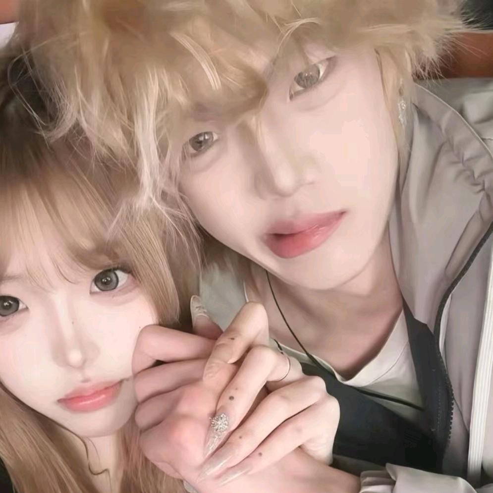 月光不止于疾风