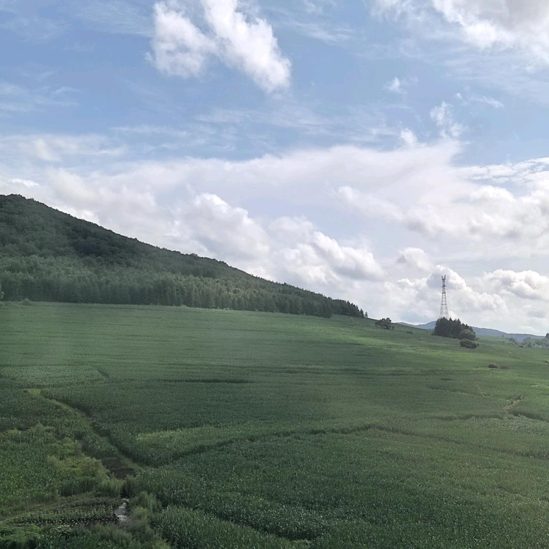 我要努力起来了