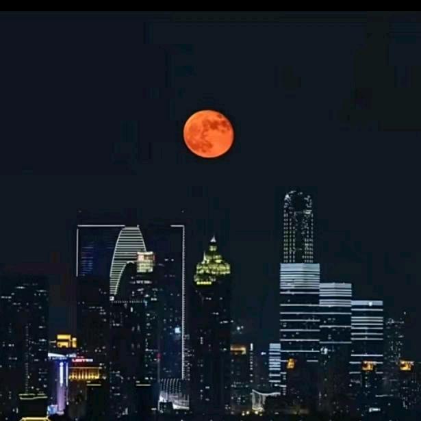 所罗门