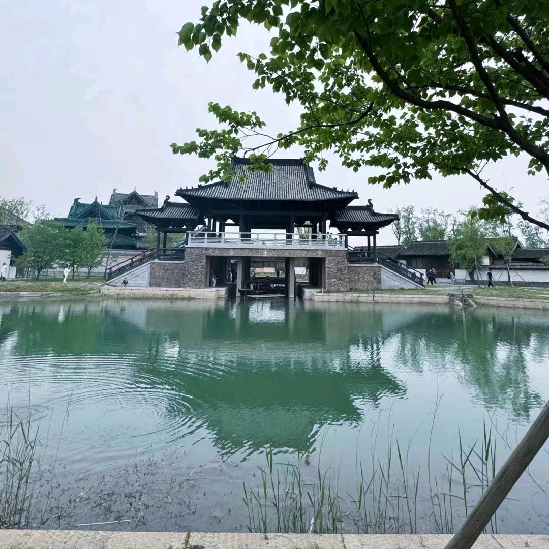 轩泽先生
