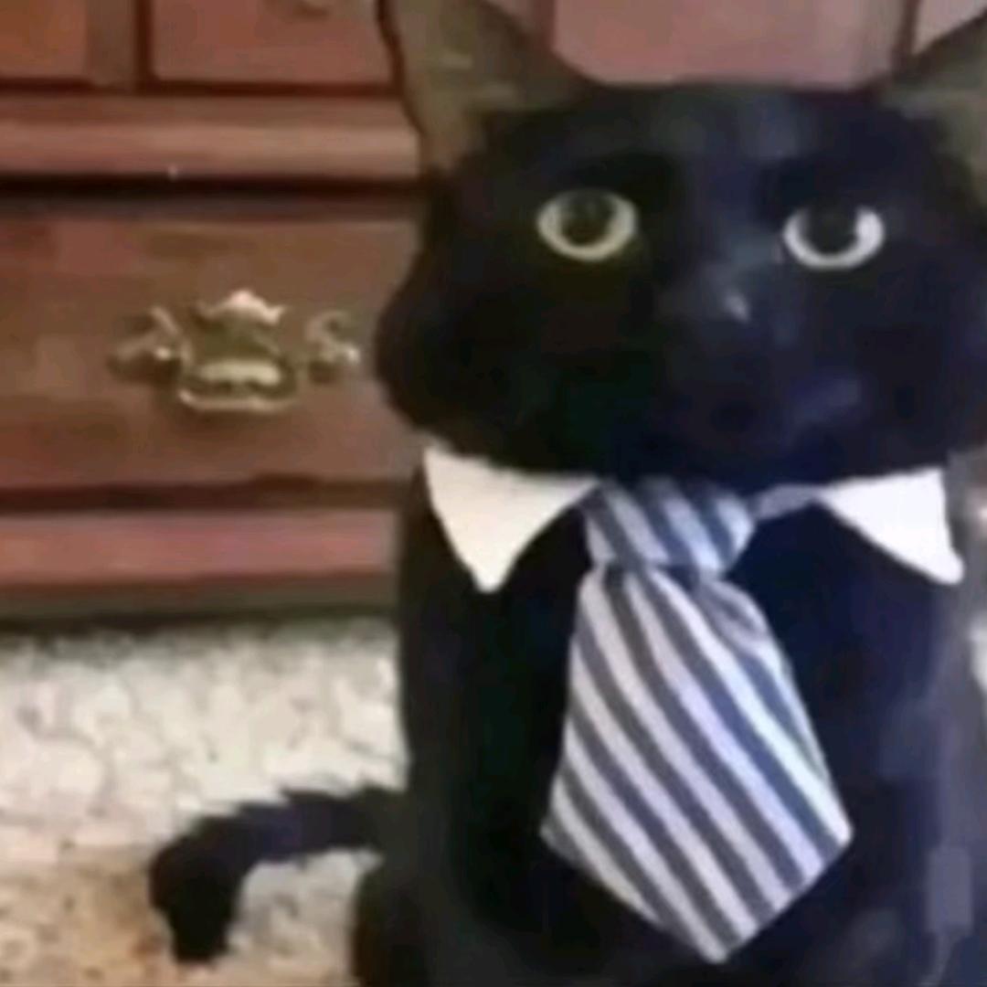 我的智商有问题