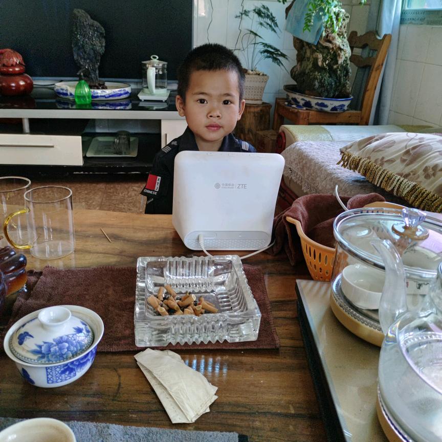 素食狼